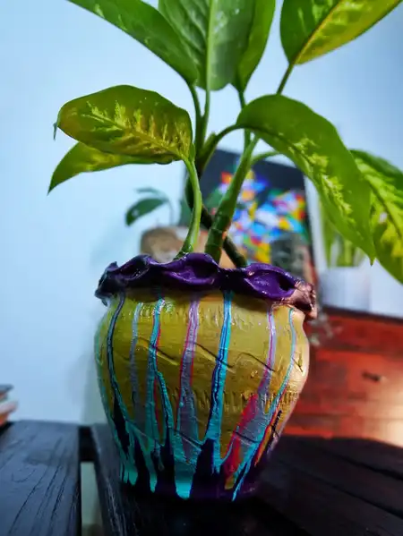 Dieffenbachia (Amoena o Diefembaquia)