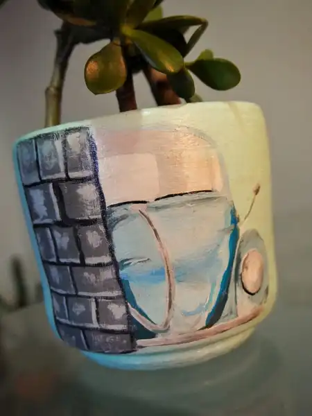 Crassula ovata o árbol de Jade